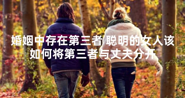 婚姻中存在第三者 聪明的女人该如何将第三者与丈夫分开